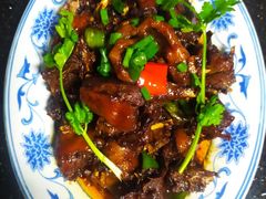-阿姨来了家政·月嫂育儿嫂保姆(黄浦区店)