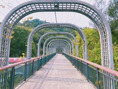 门面-金鸡山公园