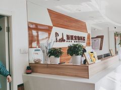 -派联宠物医院·24h·CT·异宠