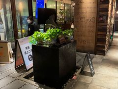 -同仁四季椰子鸡(罗湖国贸店)