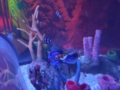 -沈阳海洋探索中心