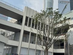 -深圳湾万象城(南山店)