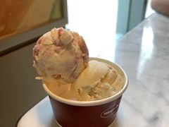 -哈根达斯(西安高新店)