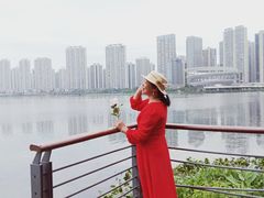 -梅溪湖城市岛
