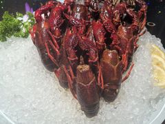 -洪福龙虾