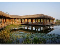 -白鹭湾湿地公园