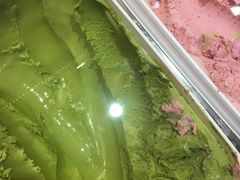 抹茶冰淇淋-广州增城保利皇冠假日酒店-玄日本餐厅