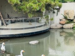 -得丘礼享谷·玉兰苑