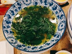 上汤桑叶苗-点都德(盘福楼店)
