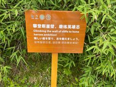 -朱雀国家森林公园