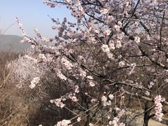 -香山公园