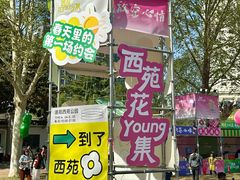 -西苑公园