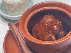 张氏狮子头-羲和雅苑•北京烤鸭(陆家嘴中心店)