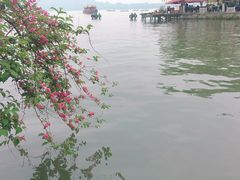 -西湖天地