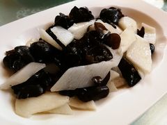-喀纳斯禾木山庄