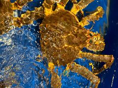 -海景壹号大酒店(惠钱路店)