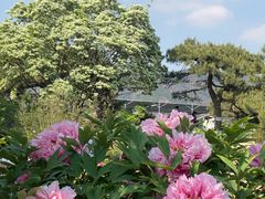 -国家植物园南园