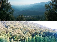 -广州市石门国家森林公园