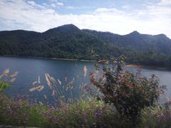-千岛湖龙川湾