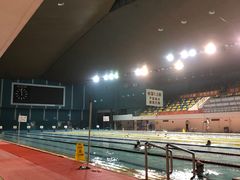 -重庆市奥林匹克体育中心-游泳跳水馆