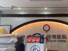 -宠爱国际动物医院·消化内科·心肾内科·ISFM猫友好(望京店)