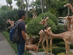 -东芭乐园