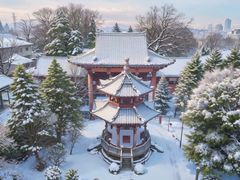 -信号山公园