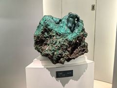 -中国地质博物馆