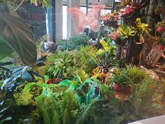 -最品火锅