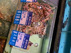 -强记海鲜·大排档(蛇口新街店)