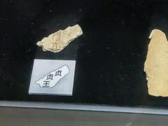-烟台市博物馆
