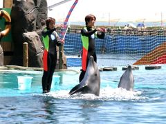 -秦皇岛乐岛海洋王国