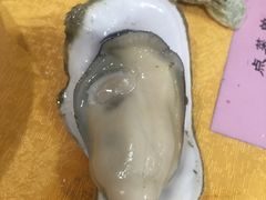 -蚝专家(北滘店)