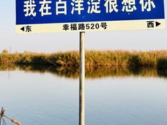 -白洋淀景区