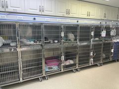 -中农大我爱我爱动物医院(甜水园店)