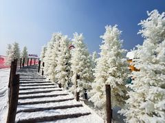 -盈香心动乐园