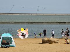 -碧海金沙