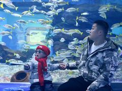 -海合安武汉极地海洋公园