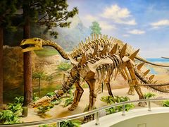 -延庆地质公园博物馆