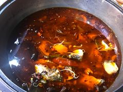 -重庆乌鱼庄·龙滋鲜(青羊大道店)