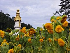 -五台山风景区