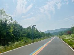 -南京老山国家森林公园