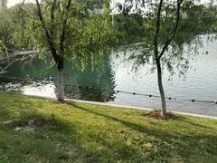 -天鹅湖体育公园