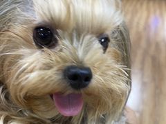 -美联众合动物医院·24h京西诊疗中心