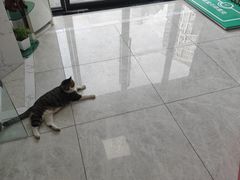 -瑞鹏瑞爱宠物医院·全科·猫科·血液透析中心(龙头寺店)