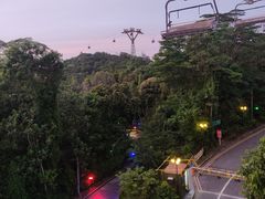 -圣淘沙天际线斜坡滑车