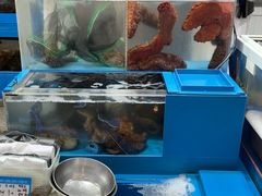 -西归浦每天偶来市场