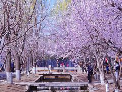 -三里河公园