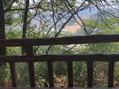 -旗岭森林公园