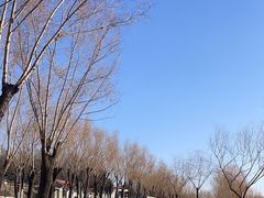 -青龙湖公园